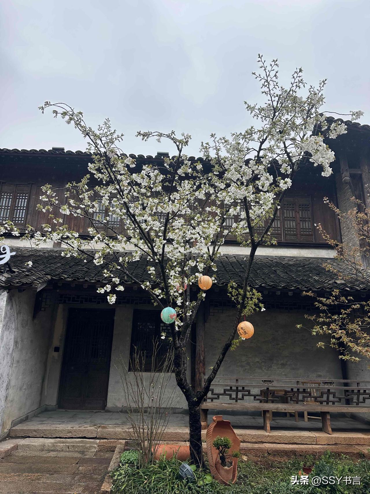 能否分享一张你拍的花卉照片