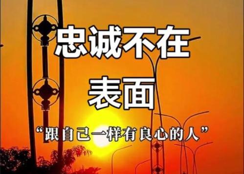 忠诚和奴性的区别在哪？

忠诚与奴性，虽然表面都表现为“服从”，但两者有着本质上