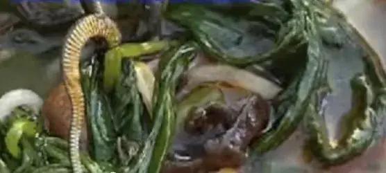 离谱到炸裂！粉碗吃出蛇只赔10元？广西店家迷之操作气炸全网
 （个人挂点仅供参考