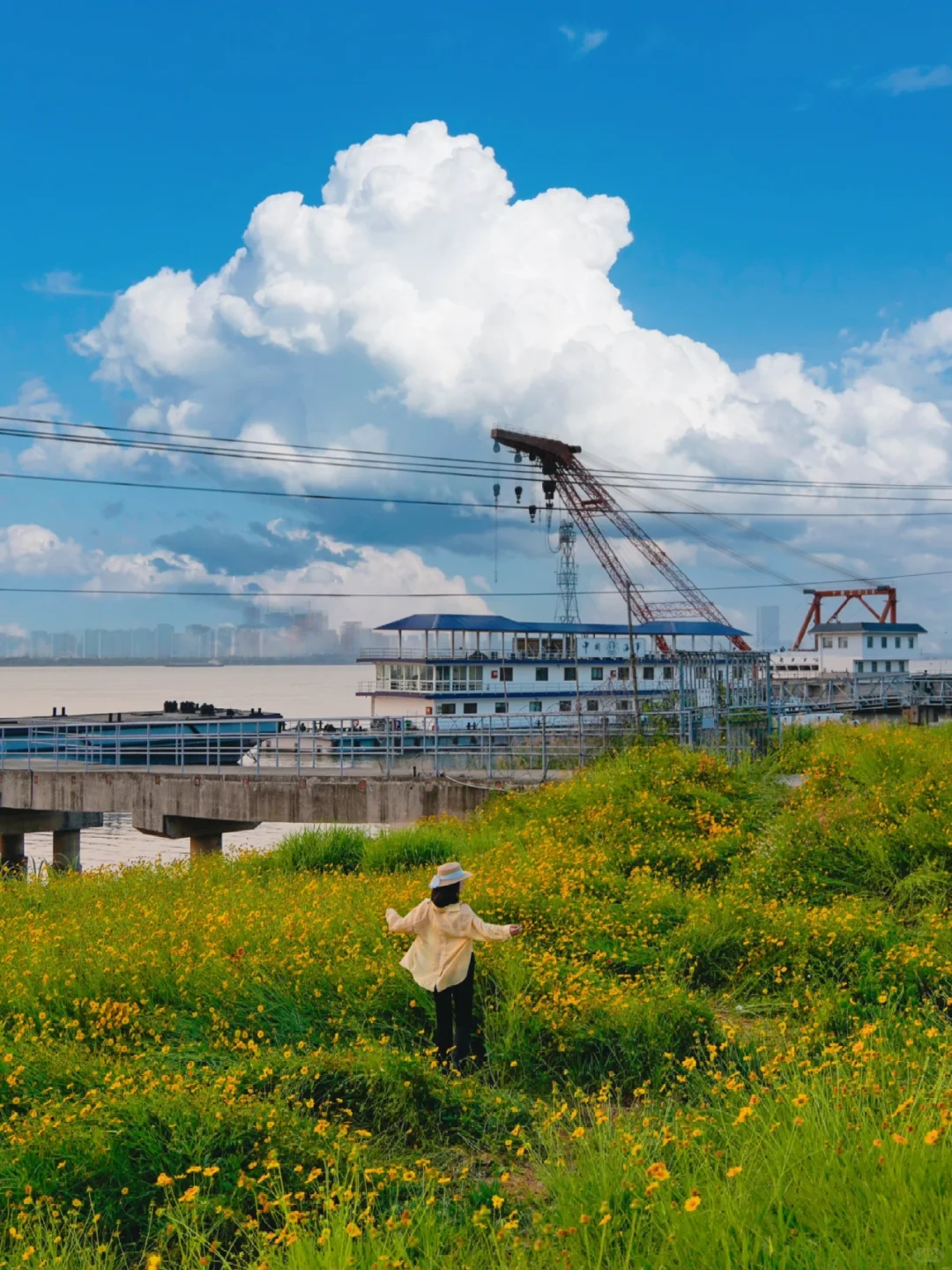 不是大理❗是南京❗闯入无人黄色花海🌼