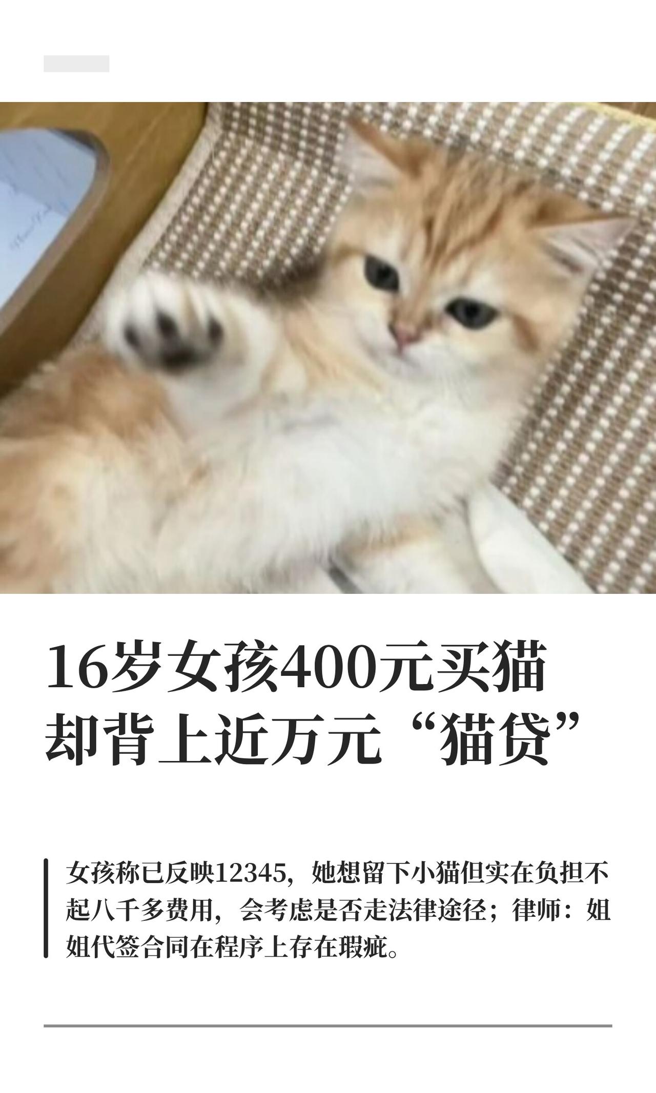 16岁的小姑娘娜娜，在温州一家猫馆看中一只金虎斑，店员说400块就能带走。小孩哪