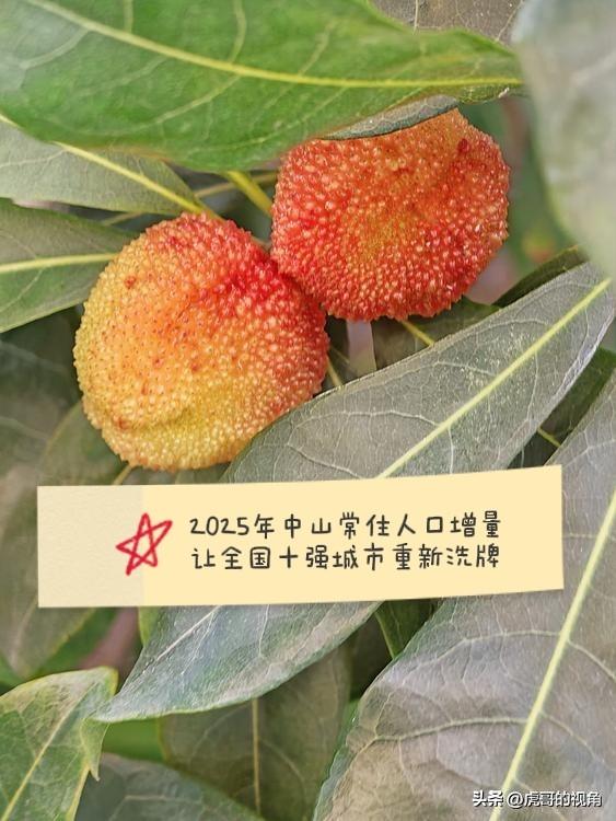 近日，小城中山“不讲武德”，统计公告显示，2025年其常住人口增量达7.77万人
