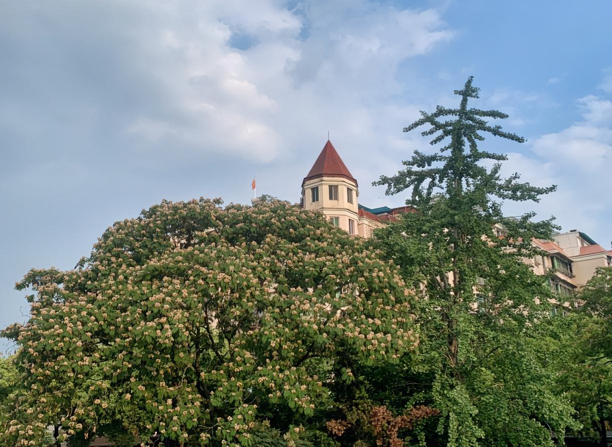 一种玄学：诸事不顺时，及时舍弃三样包袱，日子方能转好。

先抛开受害者思维，遇事