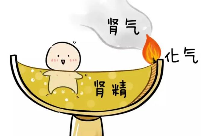 肾精用光的7个信号

1：头晕目眩
      原因:肾精亏虚之后，脑髓失养，从