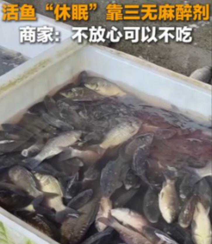 太恶心了，央媒曝光活鱼内幕！

3 月 23 日，据央媒报道，中国多地水产市场为