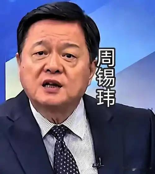 旺旺集团副董事长周锡玮说:马英九多次去大陆，受到大陆的热情接待。这次“正义使命-