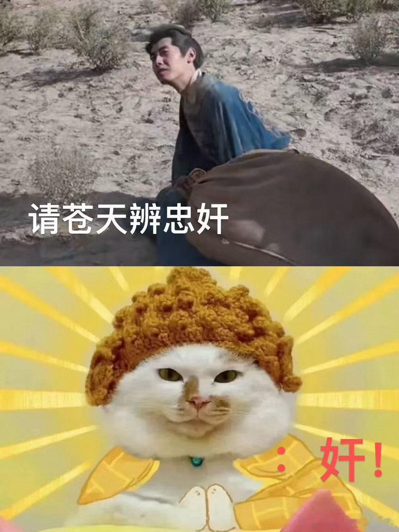 董子凡 俞敬修不可恨的时候还挺可笑对上主角屡屡吃瘪，俞敬修受挫的模样，不可恨的时