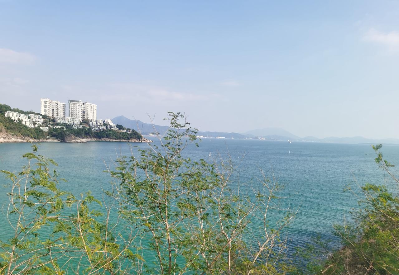 侄女月考成绩在300到400分之间，本科线却稳稳卡在450以上，这差距摆在那儿，