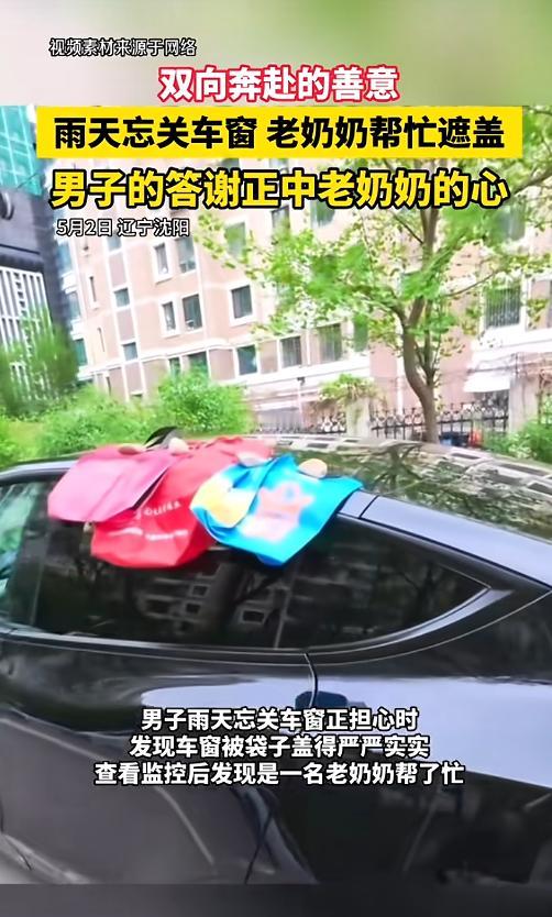 小小善举格外治愈！5月6日人民日报报道，辽宁沈阳天降大雨，车主一时大意没关车窗。