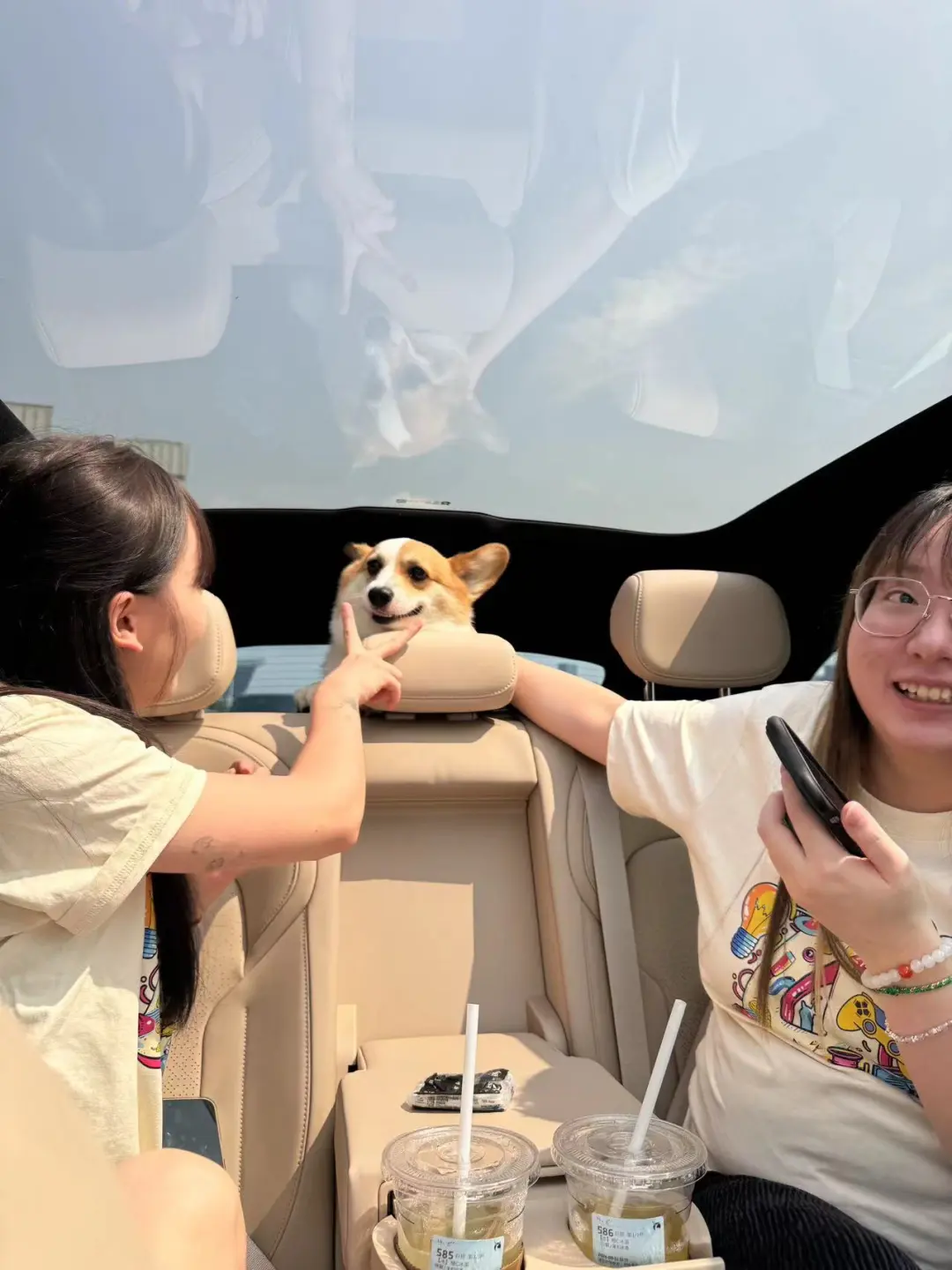 左右两边的姨姨 该怎么选？