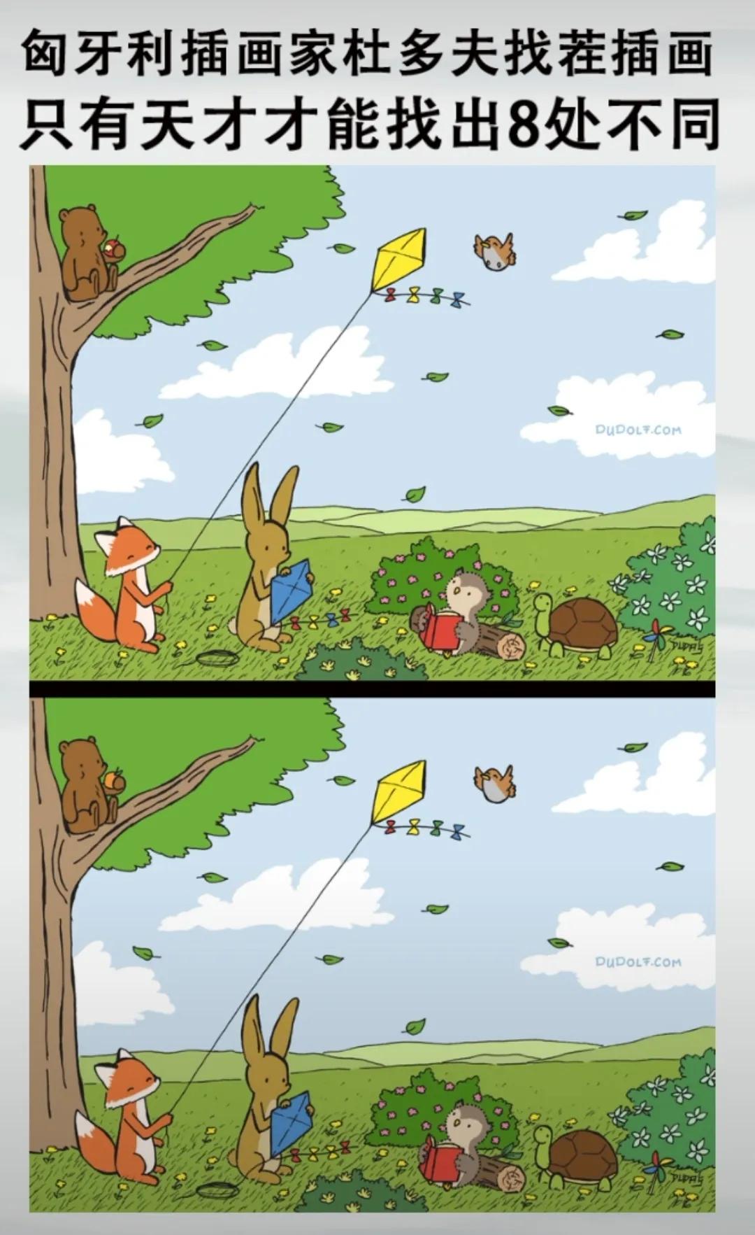 找不同