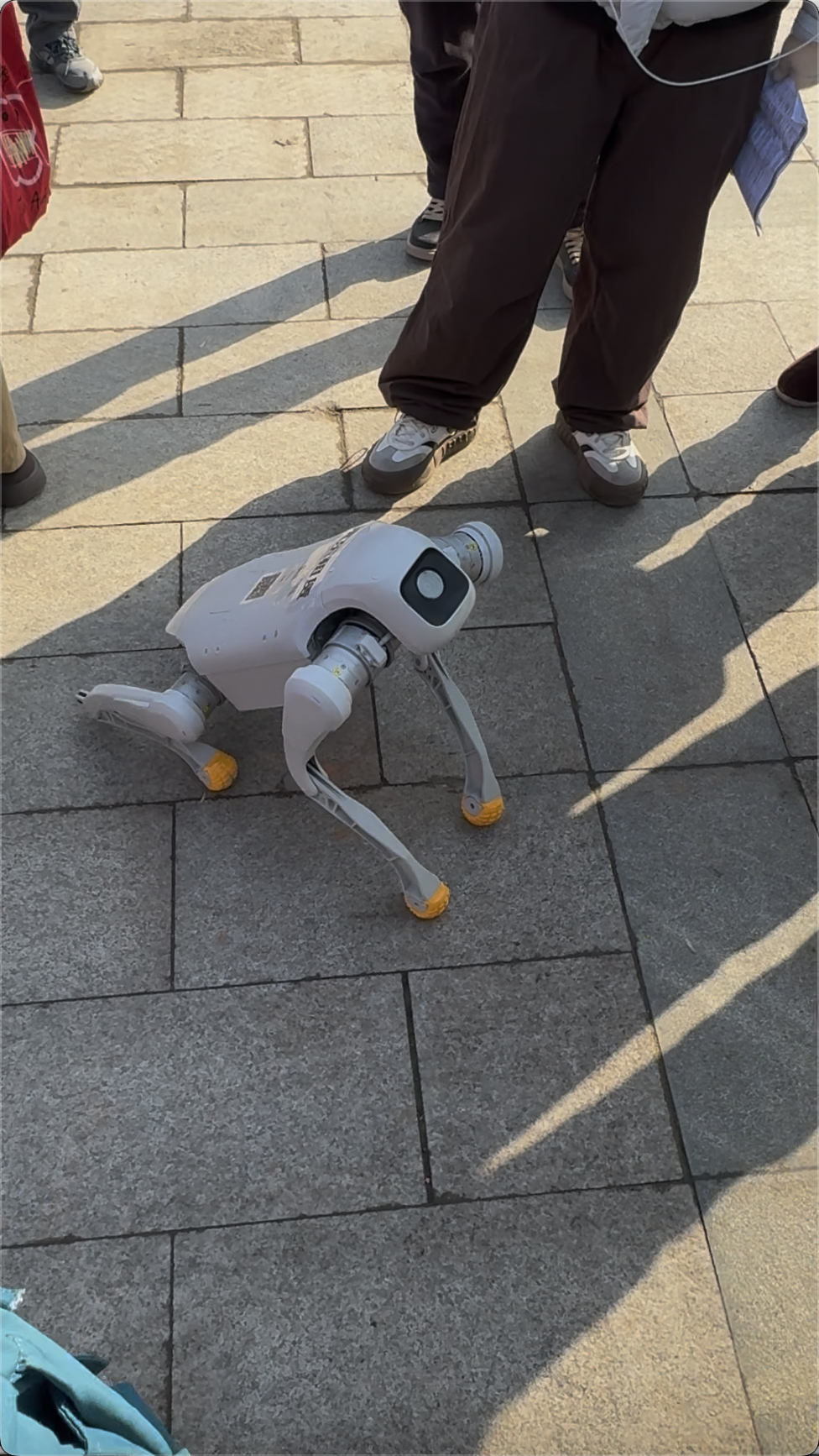 破防了😭，第一批返乡的机器人已经开始耍宝了！在光明村大集上，机器人拜年把大爷大