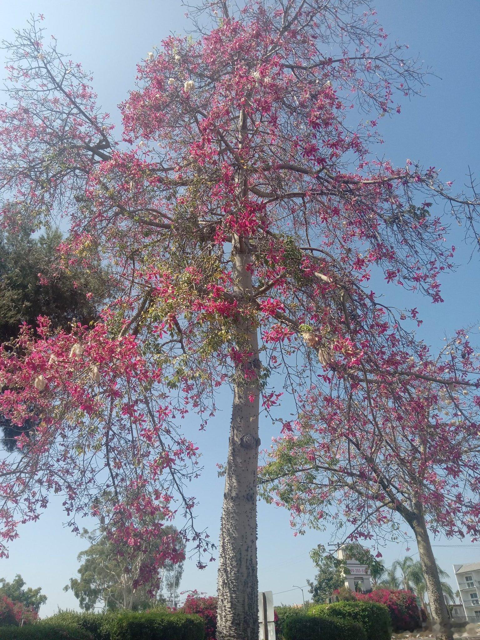 关于节后买不买，现在看都还在兴奋期，资金还在路上，关键说两点，一现在大部分人还套