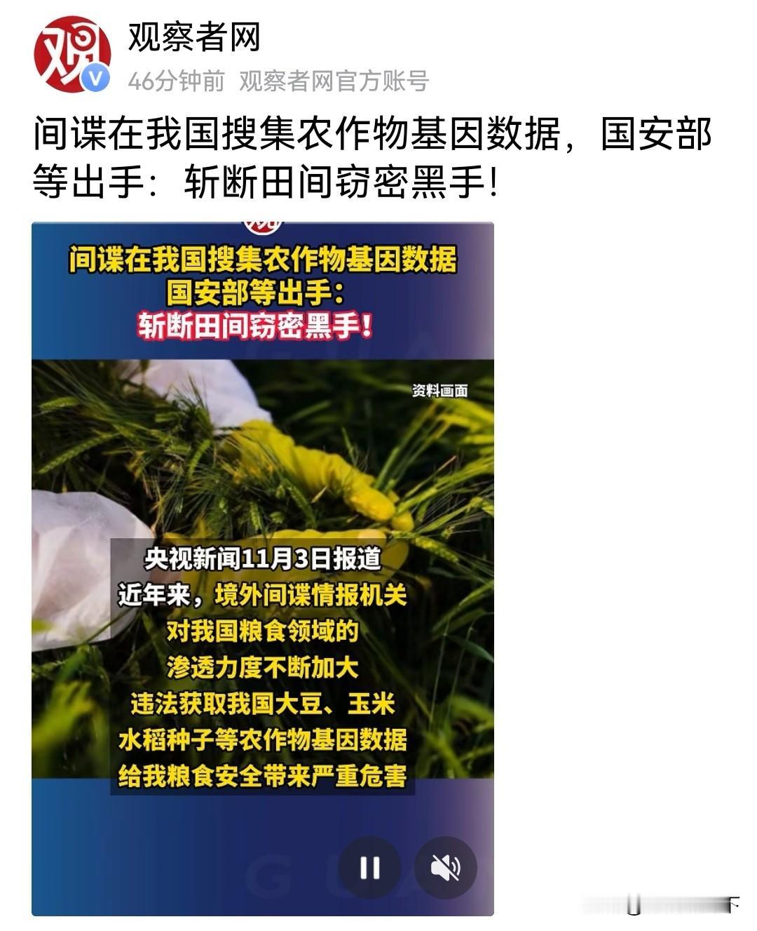 全体中国人民要注意了！
境外间谍居然盯上咱国家的农作物基因数据，
大豆、玉米、水
