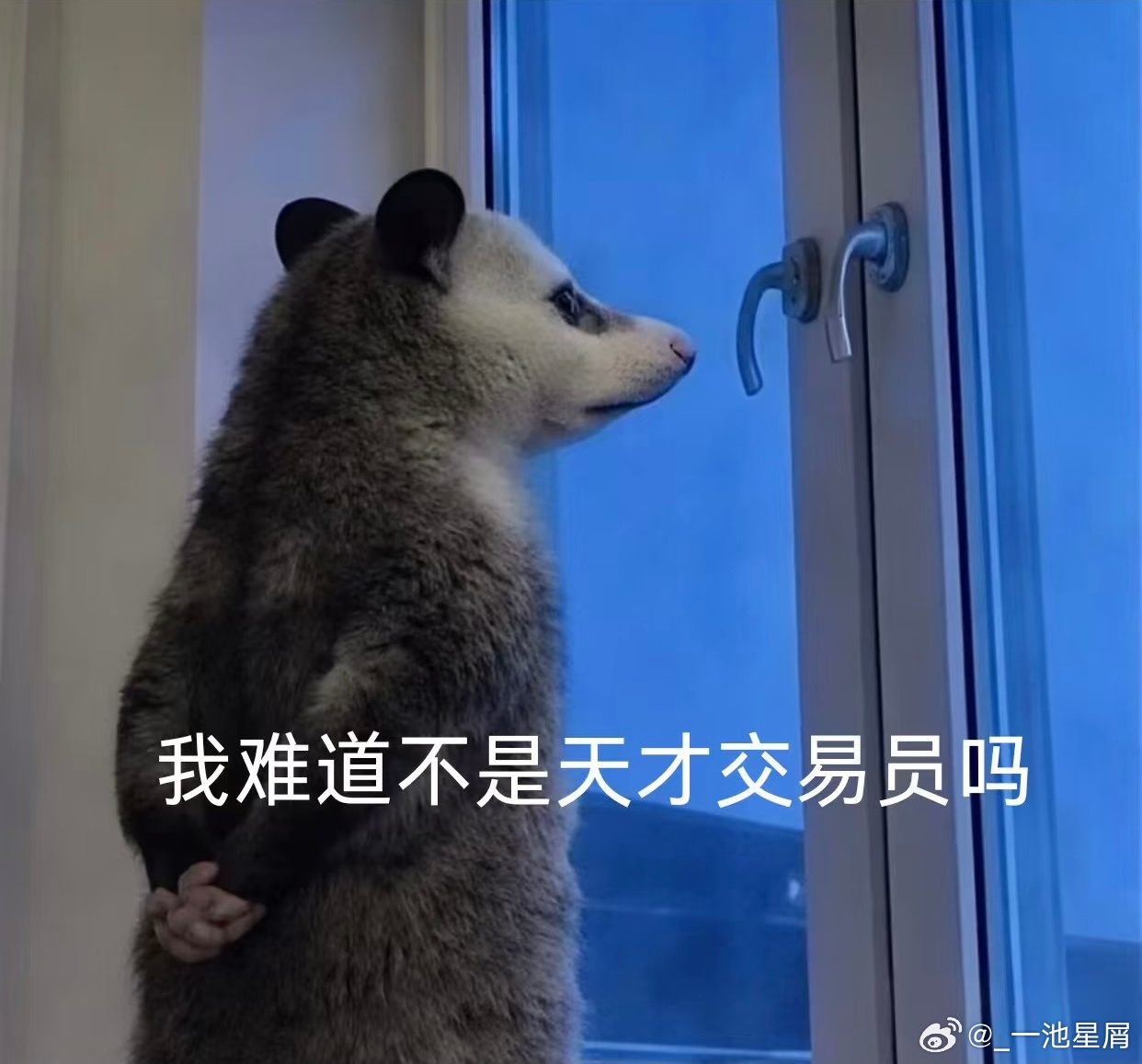 这几天股票绿得能炒盘菜吃了，绿色好啊，环保健康减脂……调理一下还是回来继续码字吧