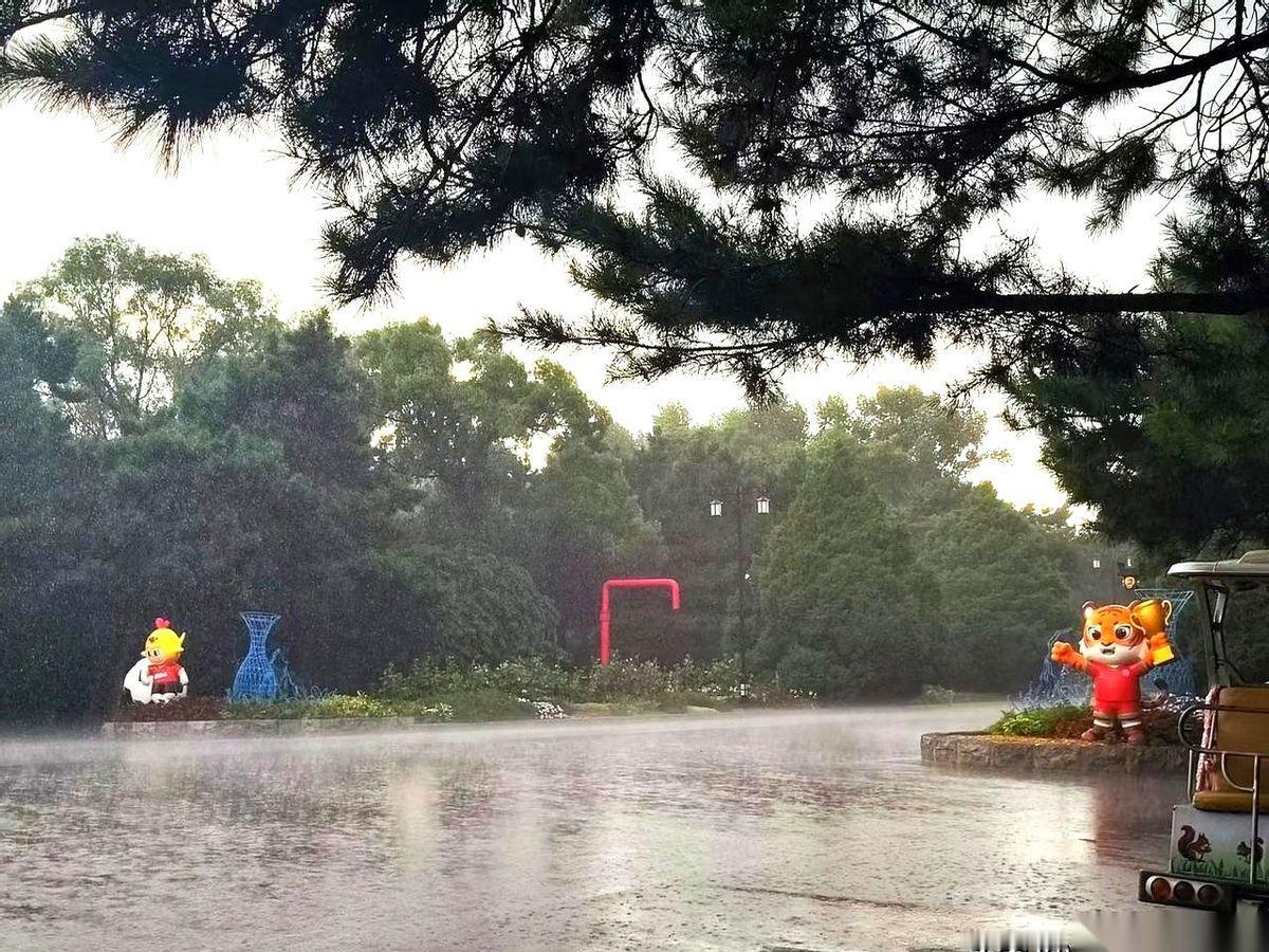 下午四点，玻璃上那一声脆响，直接把我刚燃起的希望砸了个稀巴烂。
沈阳这天，到底有