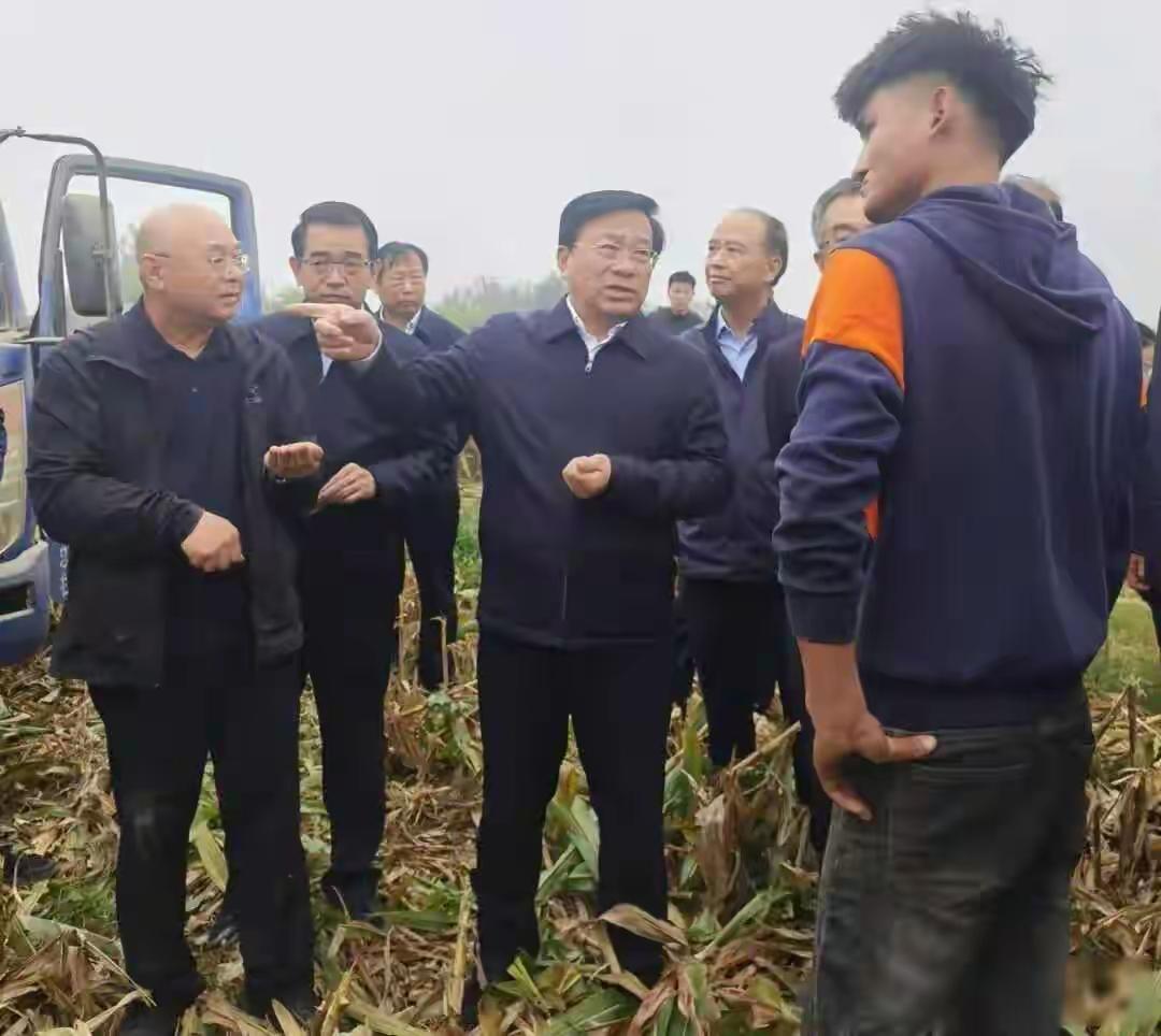 玉米发霉、机器陷泥，谁在抢收1.4万亿斤粮食？
 
眼下正是粮食抢收的关键时候，