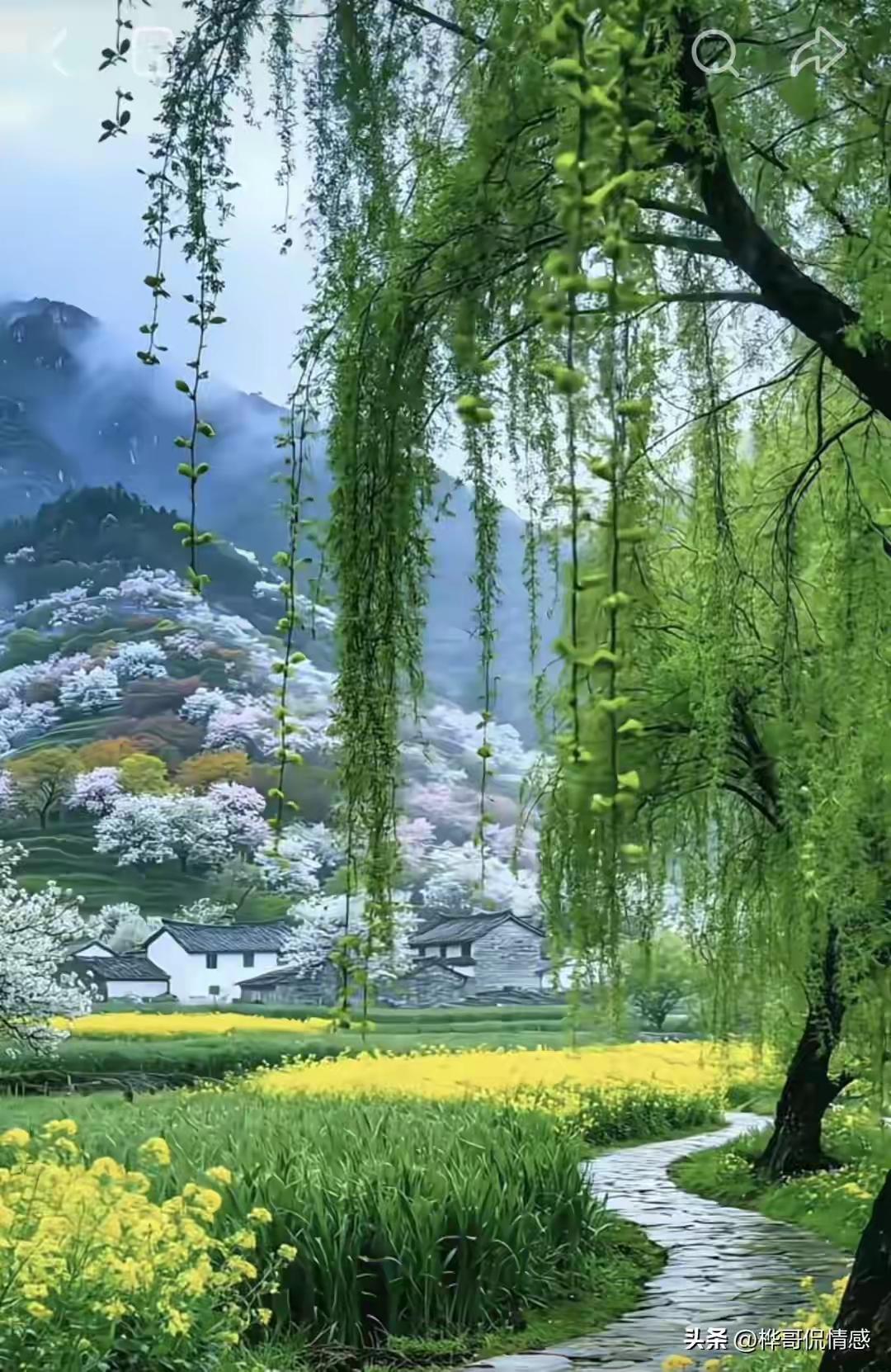 《以柔克刚，方得人生康泰》

诸位朋友，您可听过这道理？脾气越硬，命越惨；越爱较