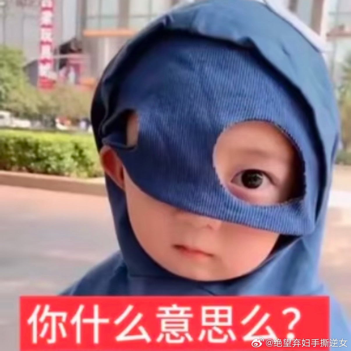 小姐姐半个多月没更新了