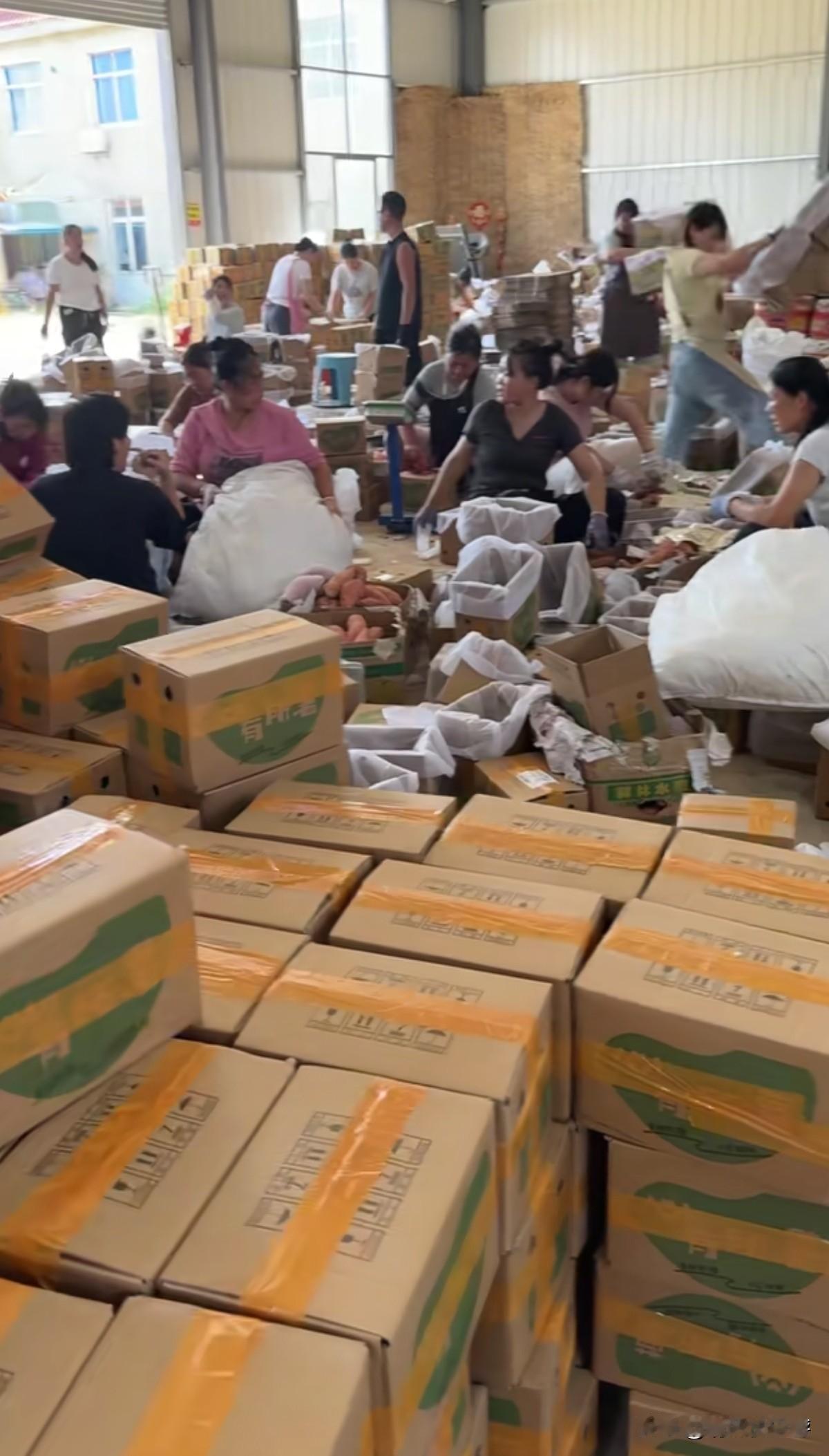 一个人在家做电商第二年，终于还清了80万的外债，争取再用一年的时间，买套房。
