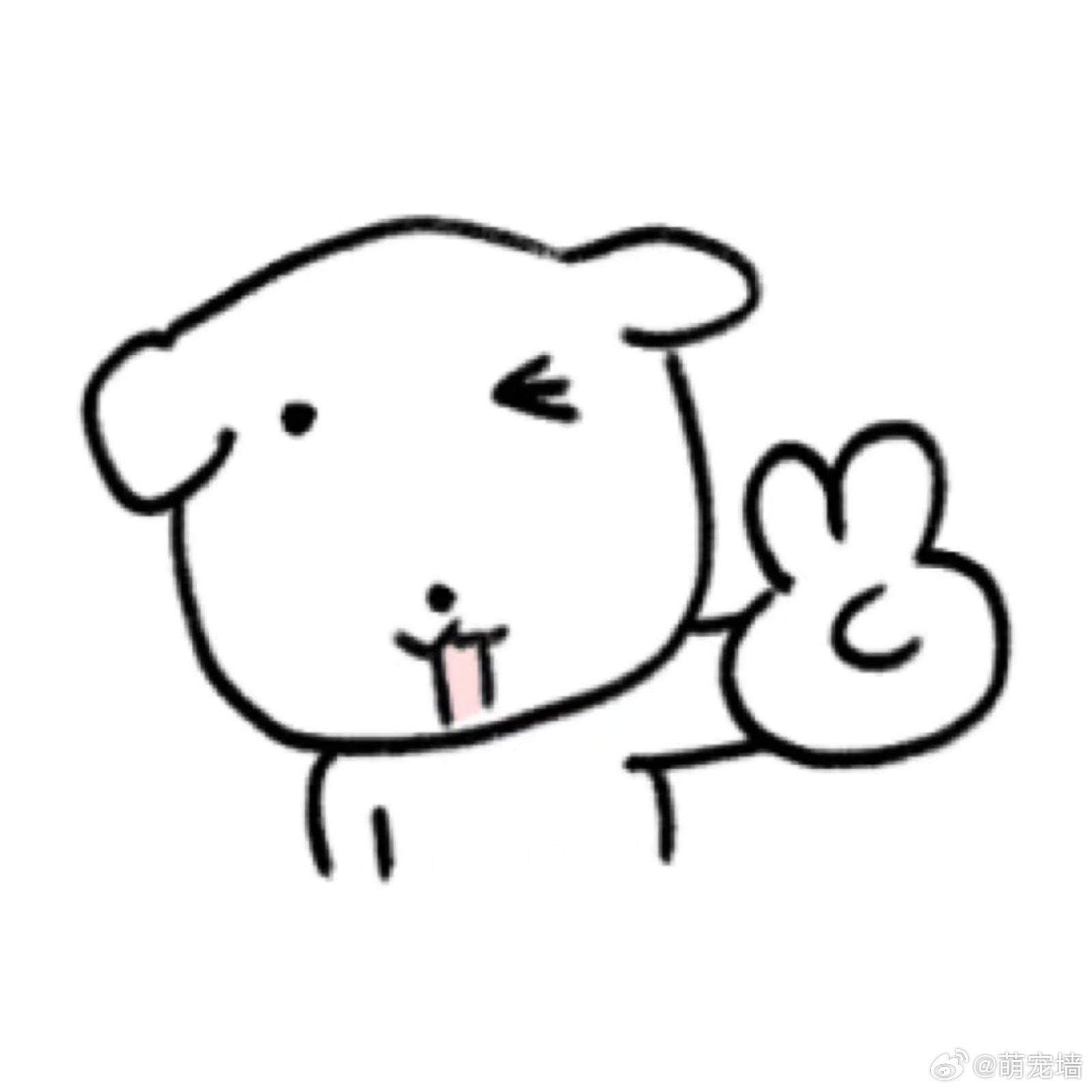 分享一组狗狗表情包 
