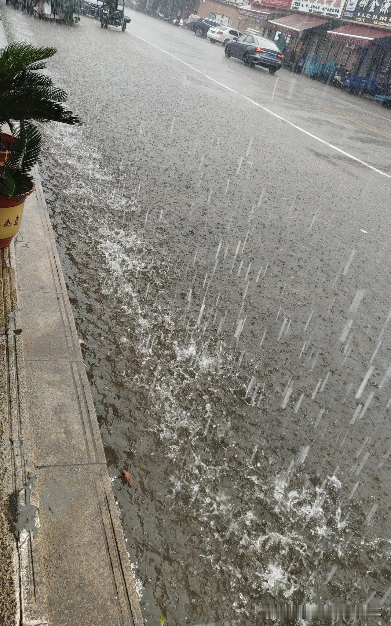 天气预报真准，报的降温有雨，早上就开始下了。
我把秋裤翻出来穿上，趁雨没下大，迅