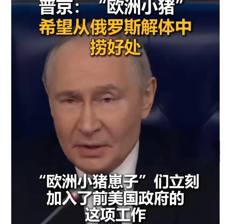 普京这发言也太敢说了！在俄国防部会议上，他一点没客气，直言欧洲领导人就是“小猪崽