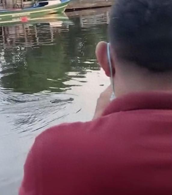 【印尼 10 岁男孩河中游泳遭鳄鱼突袭咬死，搜救两天寻回遗体】印度尼西亚北马鲁古