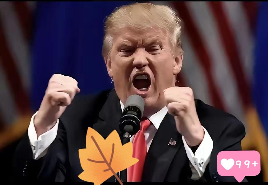 美国突然宣布
美国特朗普政府表示，将因中国“以不合理方式追求半导体产业主导地位”