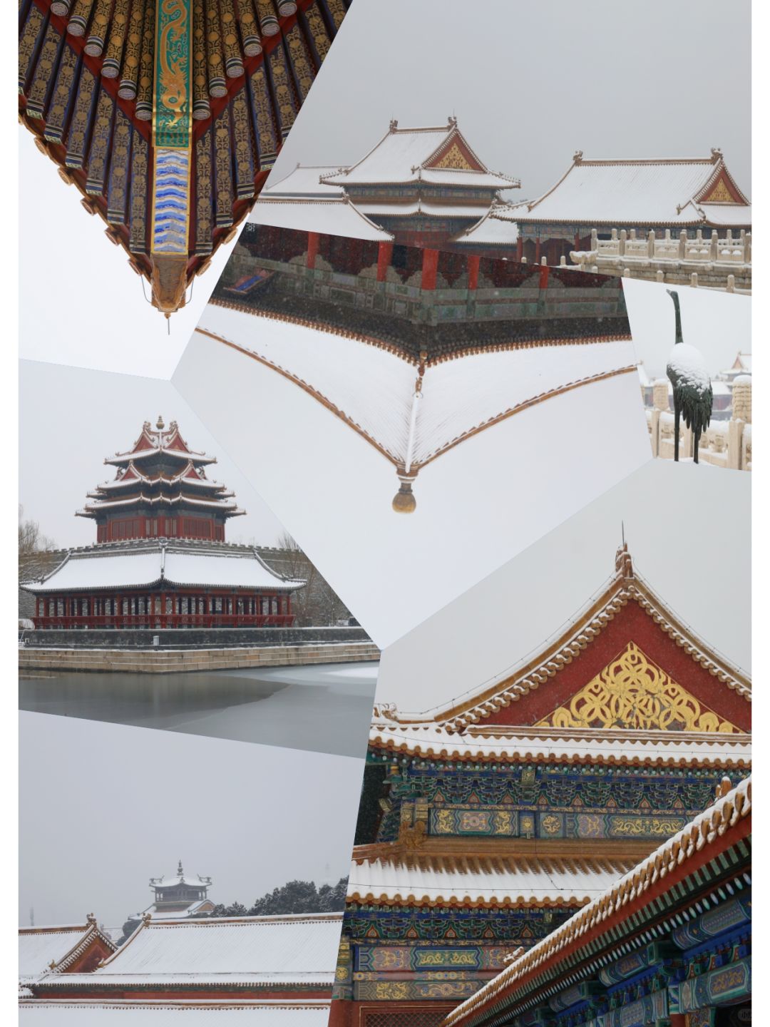 2024年，总要去看一场故宫的雪吧