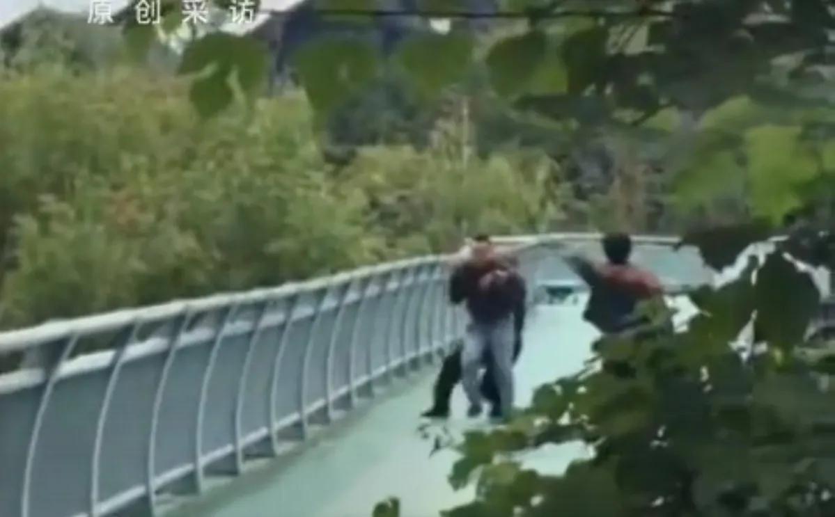 蜂群围攻老人：一场无妄之灾的警示！

暮色四合，河南一座大桥上，七旬夫妇悠然散步