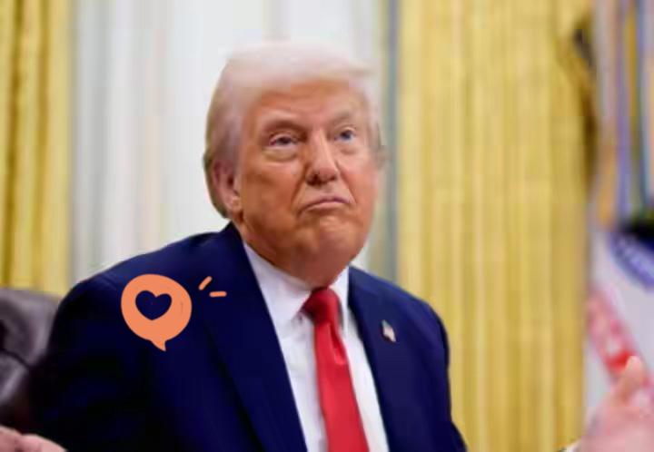 快讯！快讯！
特朗普今天（北京时间11月6日）表示：“我很高兴地报告，如今，美国