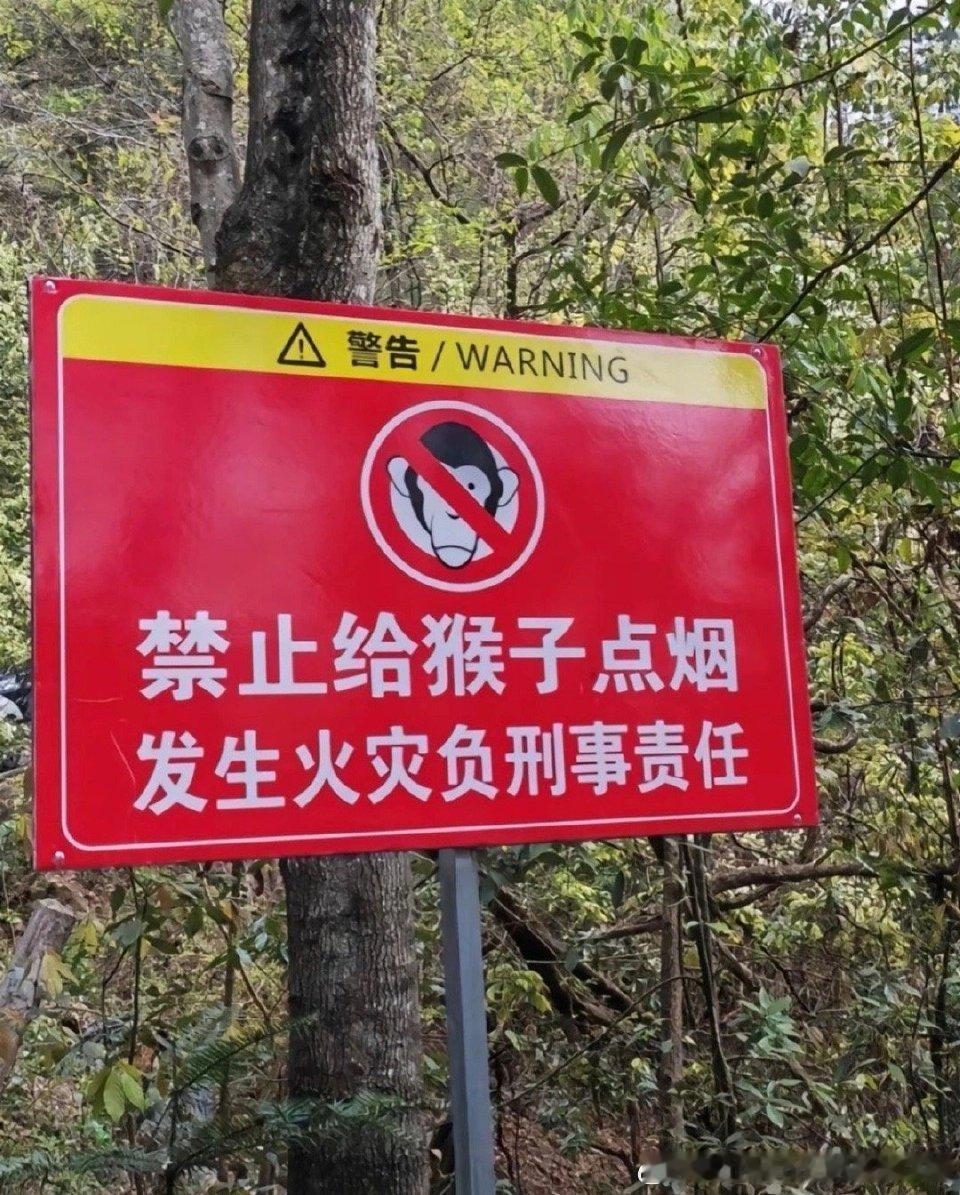 这块警告牌背后有许多故事啊，应该禁止小卖部向猴子卖烟[doge] ​​​