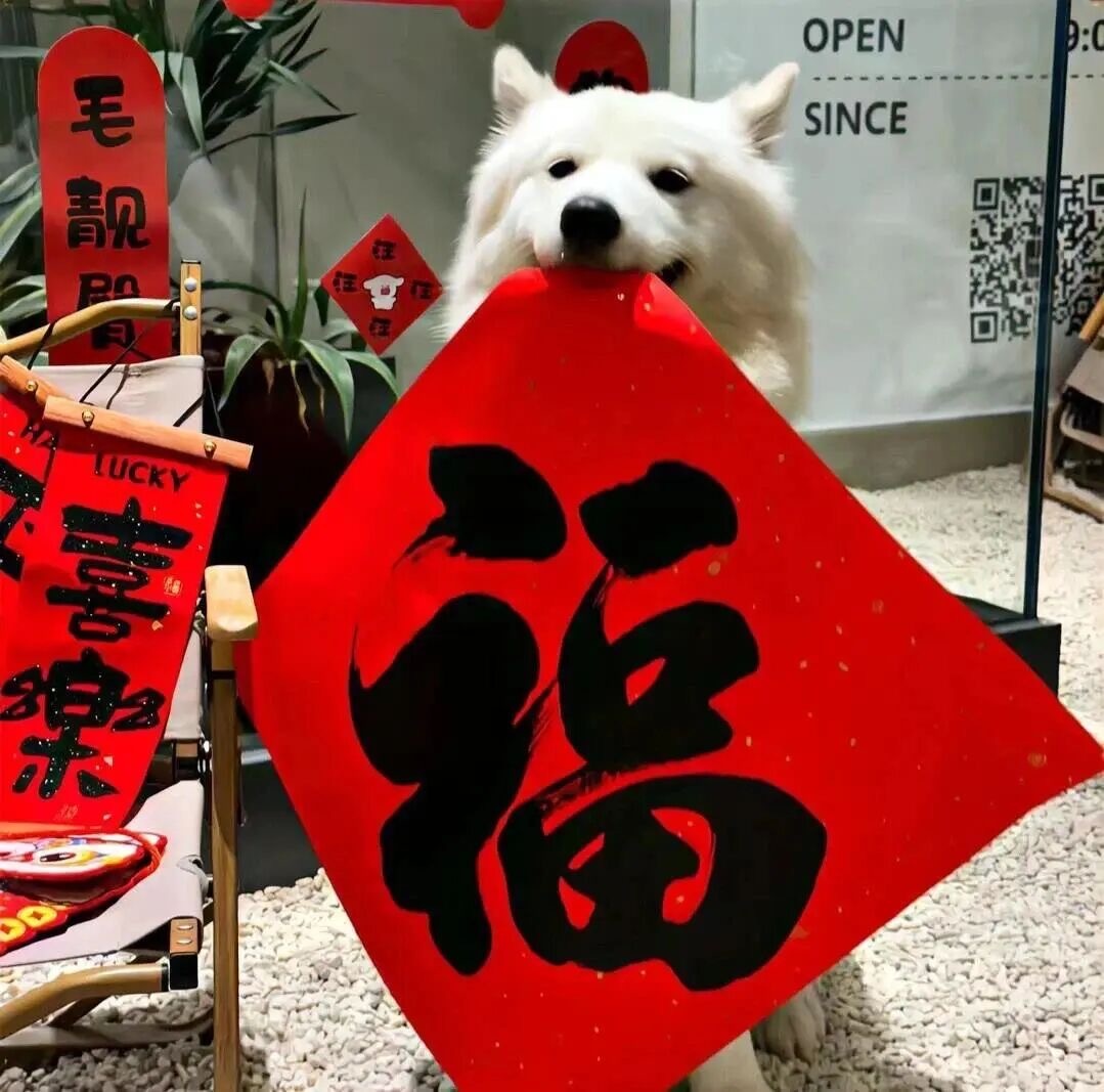 新年文案分享：满怀上一年的热爱，奔赴下一年的山海 