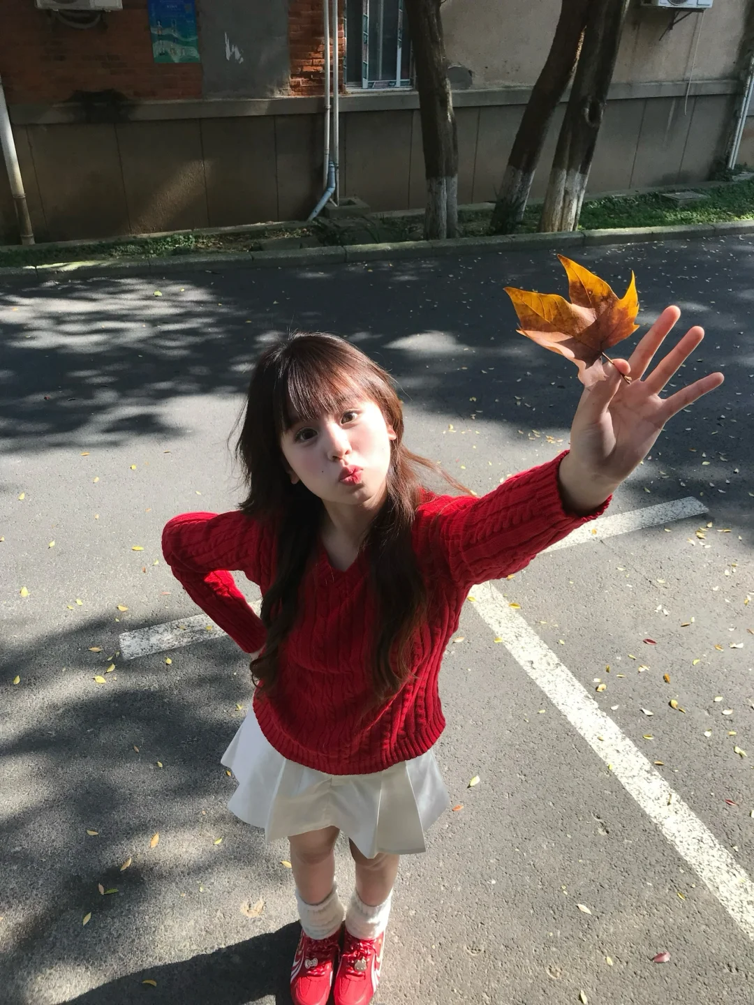 ⋆₊🍎 ⋆₊ ✨⋆₊ 🎄