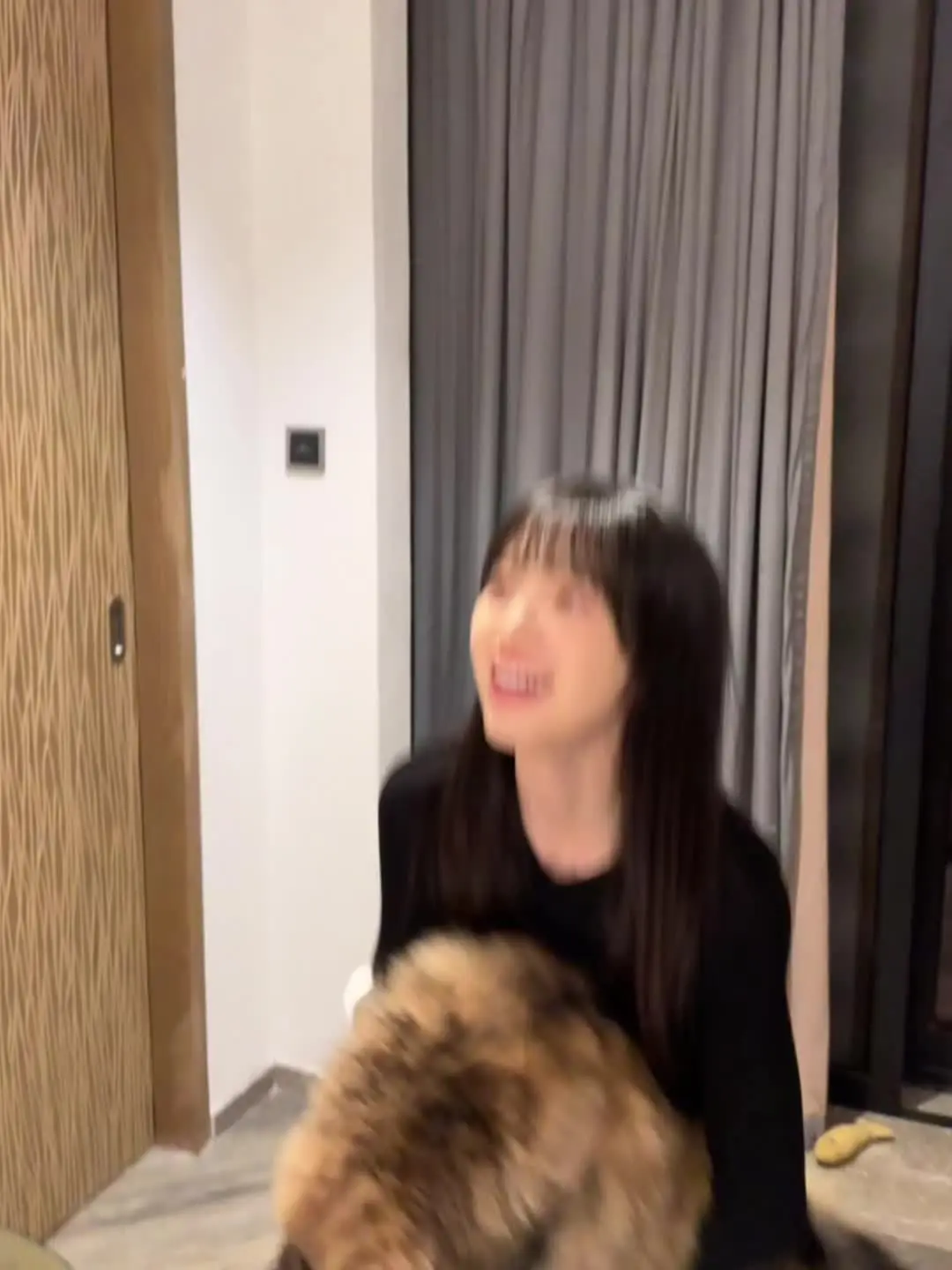 参见猫公大人