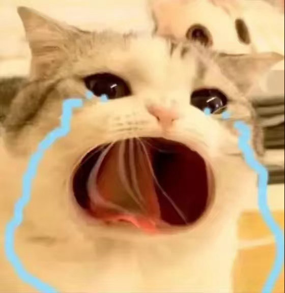 在忙一天就可以休息了！ 