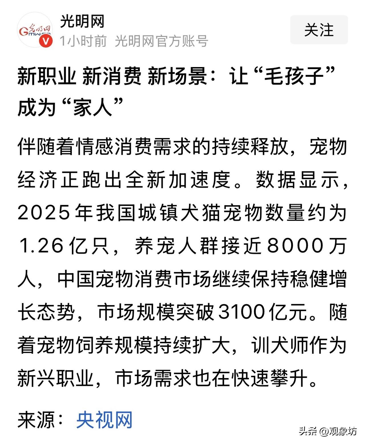 1.26亿只“毛孩子”撑起3100亿市场？这波“宠物家人论”，到底是温情还是收割