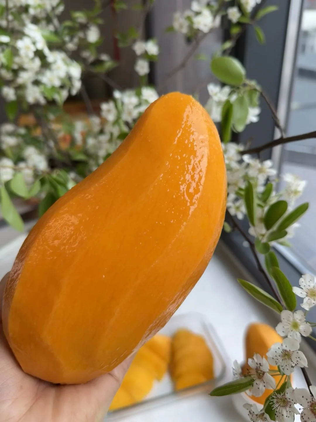 芒果界的“报恩果”