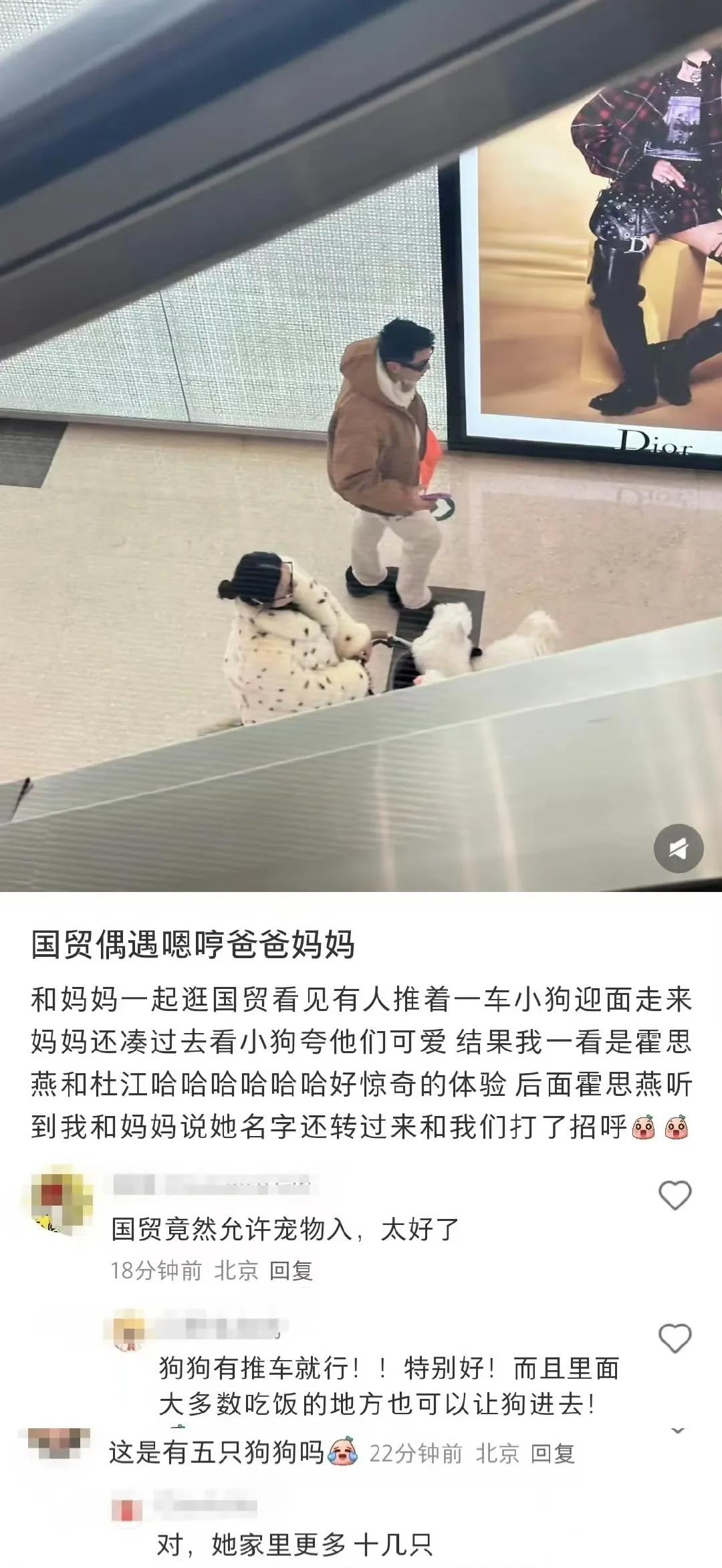 10日，有网友在北京偶遇杜江和霍思燕带着狗狗逛商场，画面中霍思燕推着小推车，车中