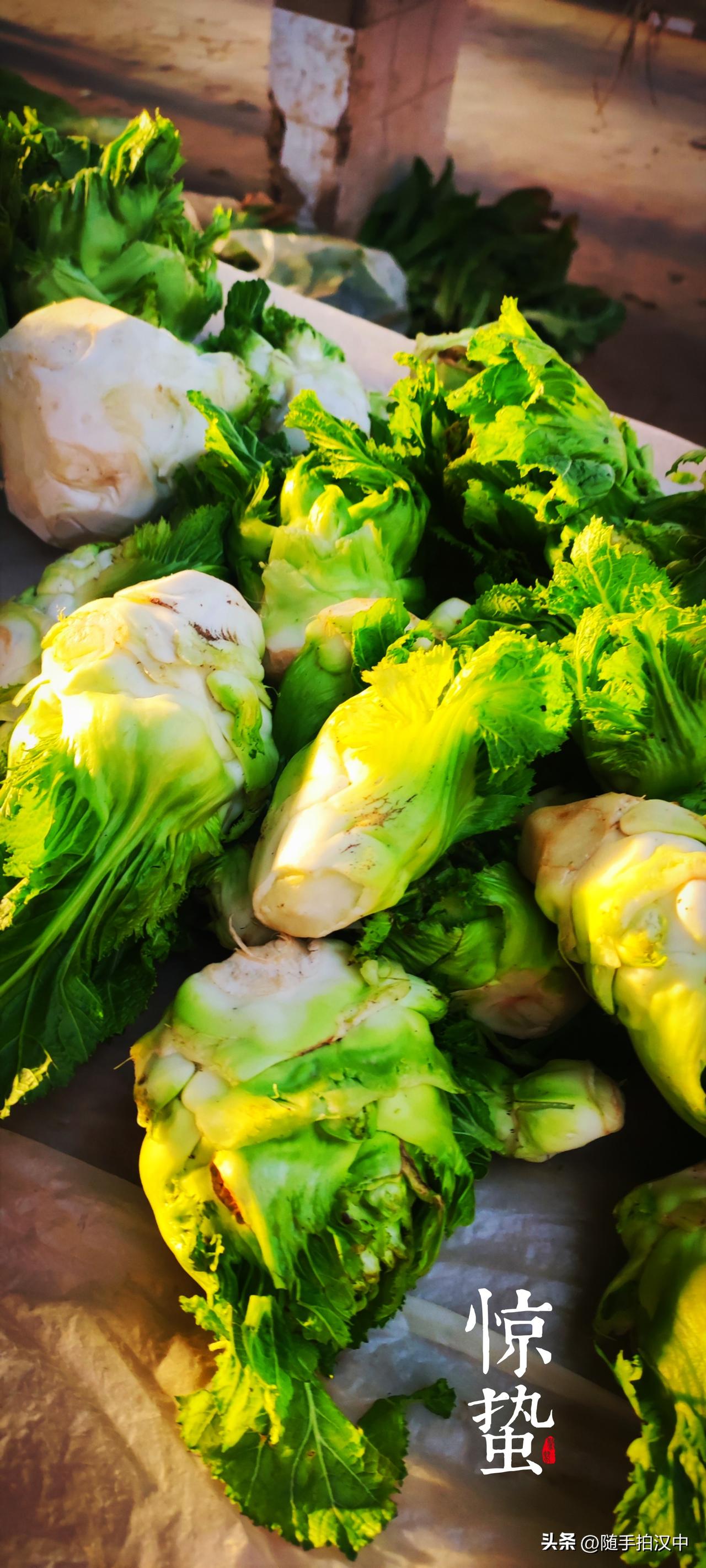 集卡领红包今年春天，我特别钟爱这个大头菜。便宜又爽口，趁这几日还嫩没有筋，好好吃