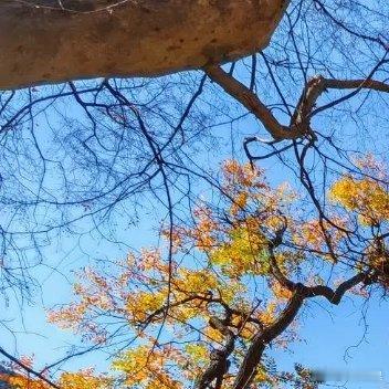 爱情是生死相依的承诺，也是同舟共济的责任更是彼此的付出和守护。阳光信用[超话]每