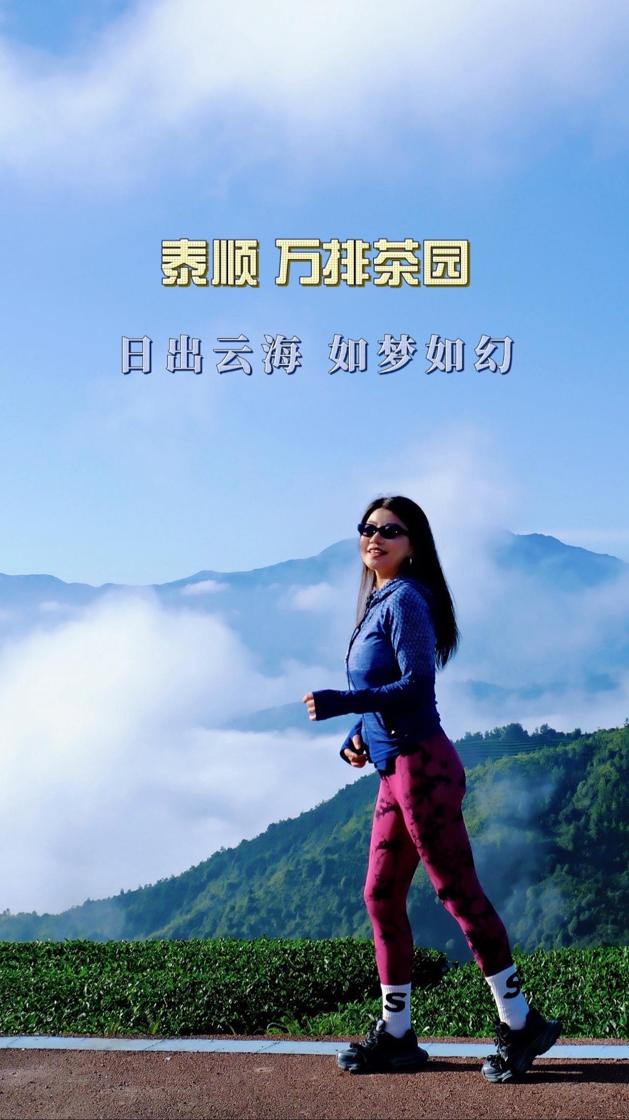 从日出到云海，泰顺万排茶园如梦如幻

听说泰顺万排茶园的日出很惊艳，这里是三杯香