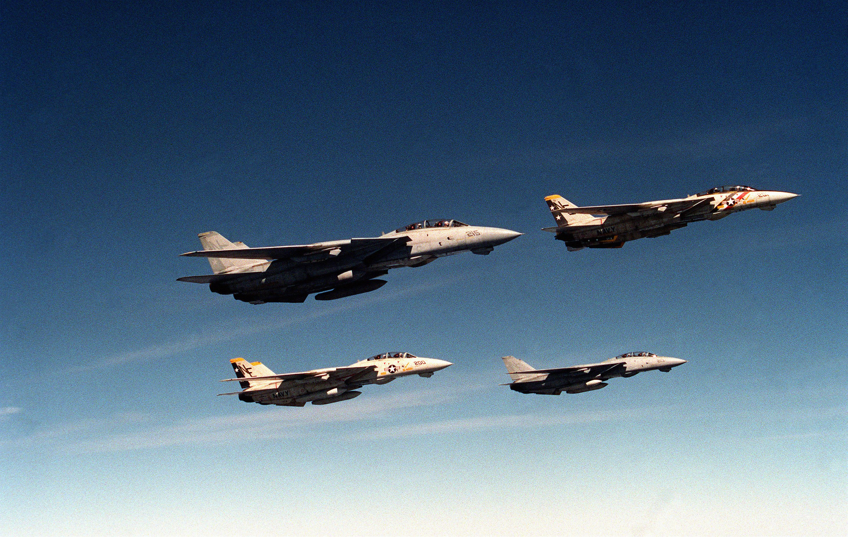 猫宁。F-14大猫四机编队 ​​​