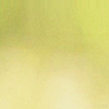 2200我们生在红旗下，长在春风里。人民有信仰，国家有力量。目光所致皆为华夏，五
