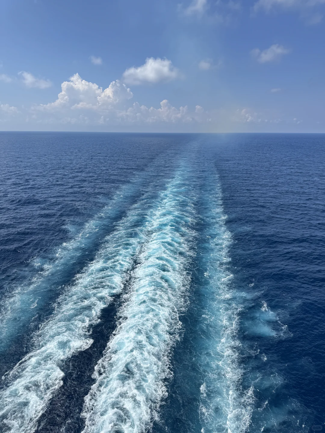 一定要坐一次邮轮🛳️！