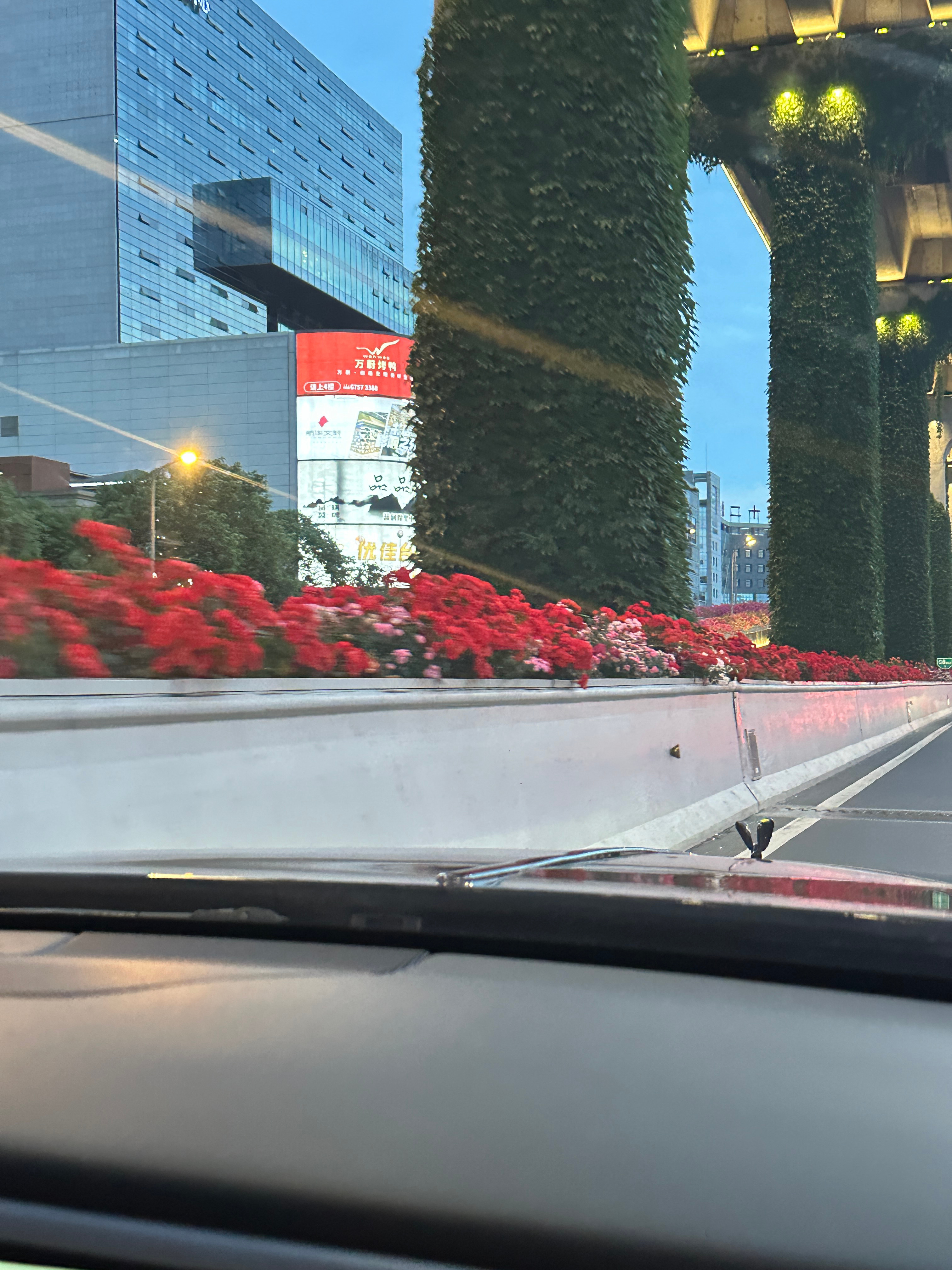 成都的高架桥也是开满鲜花  ​​​