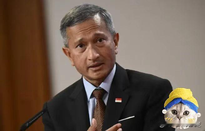 这一次新加坡彻底坐不住了！新加坡外长维文公开对中国喊话，希望中国能对新加坡网开一