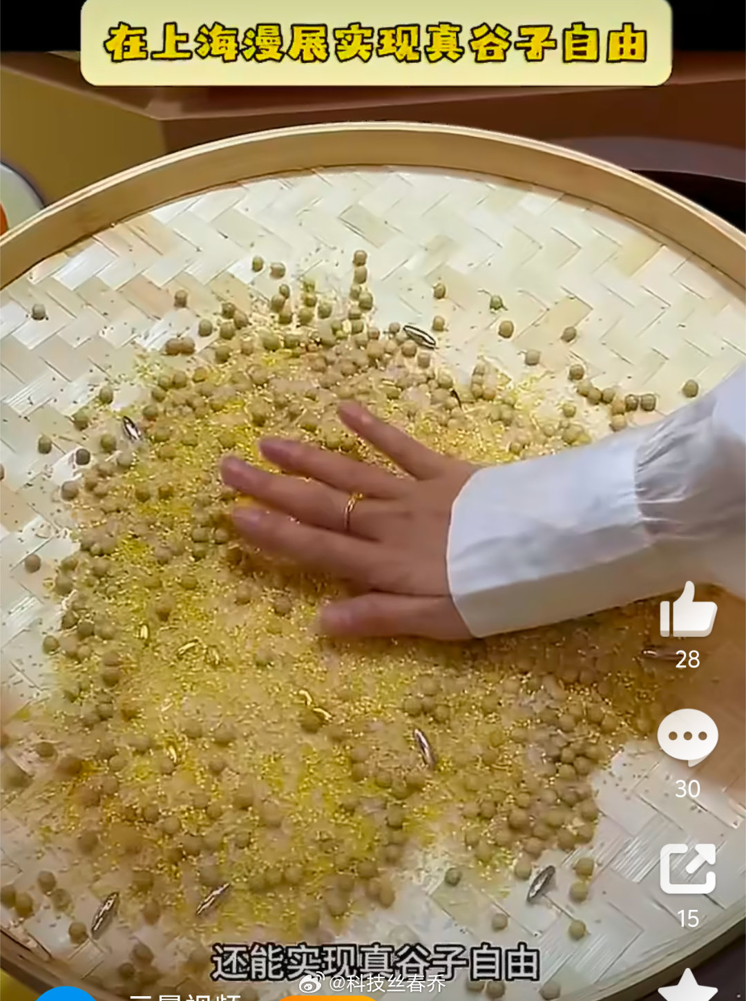 在上海漫展实现真谷子自由 谁懂啊，在漫展里闻到谷物的清香，瞬间治愈了所有的疲惫。