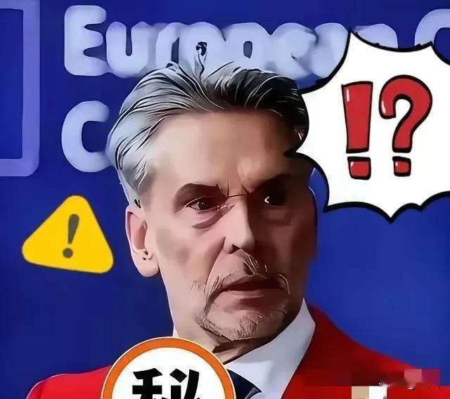 最近荷兰就稀土供应问题表态，称若中国停止相关供应，荷方或将采取各类应对举措。不少